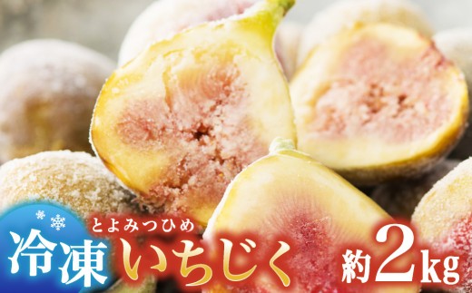 
                  冷凍いちじく（とよみつひめ）約2kg
                