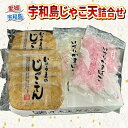 【ふるさと納税】 ＼10営業日以内発送／手押し じゃこ天 10枚 けずり蒲鉾 2袋 詰合せ 井上蒲鉾本舗 手押しじゃこ天 手作り 蒲鉾 けずりかまぼこ かまぼこ 冷蔵 小魚 すり身 練り物 さつま揚げ 惣菜 小分け 酒 水産 加工品 特産品 郷土料理 国産 愛媛 宇和島 C010-003001