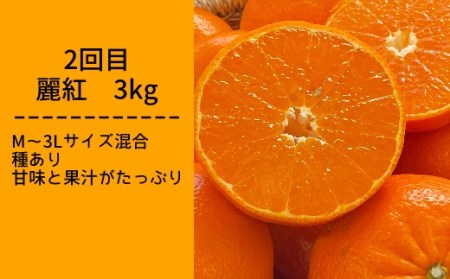 柑橘フルーツ４回定期便（ぽんかん３kg・麗紅３kg・文旦５kg・小夏３kg）みかん４種 先行予約【J00018】