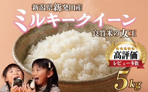【最短7日発送】 令和7年産 ミルキークイーン 5kg ご飯 備蓄 コシヒカリ こしひかり 突然変異種 コメ お米 米 こめ 新潟産 新潟米 新潟県 新潟 新発田 新発田市 国産 新発田市産 斗伸 toushin015_03