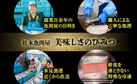 【偶数月 全6回 定期便】氷見漁港 海鮮刺身セット | 詰め合わせ 冷凍 刺身