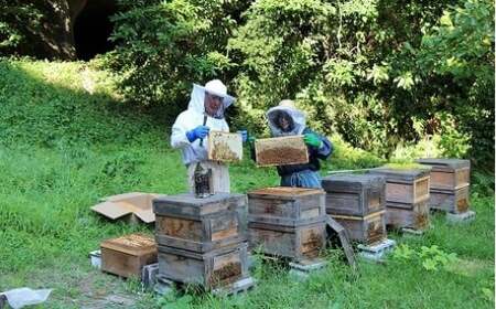 B507 御宿産純粋はちみつＤ