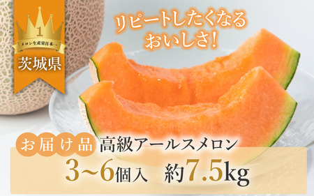 茨城県産アールスメロン「赤」約7.5kg（3～6個）【2025年9月上旬～10月上旬ごろ発送予定】【 メロン 茨城県産 メロン 下妻 メロン 果物 ﾒﾛﾝ フルーツ 贈り物 プレゼント 高級メロン メ