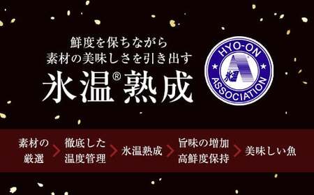 〈山陰大松〉氷温熟成　煮魚・焼魚ギフトセット10切　IN-100【米子市魚貝類部門No.1 】