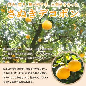 先行予約 ハウス栽培デコポン 約2.7kg  デコポン