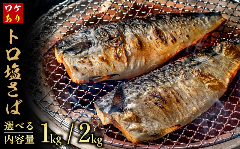 
                  訳あり トロ 塩サバ フィレ 約1kg ～ 約2kg 鯖 さば わけあり 切り身 切身 塩さば 塩鯖 フィレ フィーレ 魚貝 魚介 人気 冷凍 冷凍食品 大容量 海鮮 家庭用 レシピ おかず おつまみ 惣菜 弁当 不揃い 規格外 傷 味噌煮 竜田揚げ 南蛮漬け グルメ 贈答 贈物 ギフト 長期保存 小分け 炊き込み お取り寄せ ふるさと納税 ふるさと納税鯖 送料無料 千葉県 銚子市 飯田商店
                