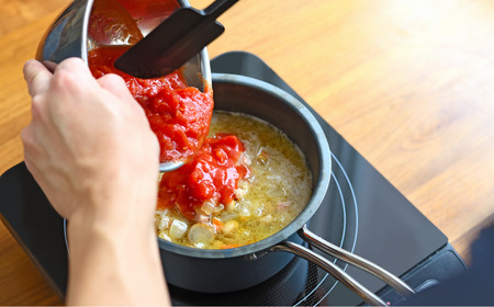 TE2NABE ソースパン16cm 鉄鍋 無水調理 特殊窒素加工で錆びにくい 鍋 キッチン用品 燕三条製  [プリンス工業] 【021S041】