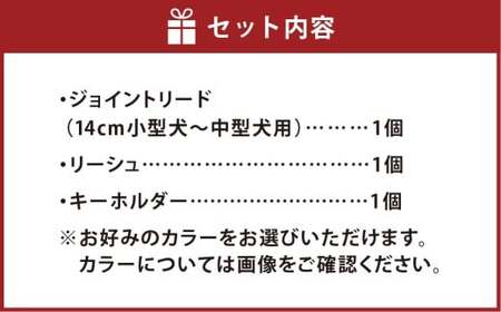 愛犬さんのお散歩すっぽ抜け防止！首輪とハーネスを繋ぐジョイントリード（平編み・スタンダード）＆愛犬さんと飼主さんを繋ぐリーシュ（サブ持ち手）セット お揃いのわんこキーホルダー付き ／ ペット 犬 愛犬