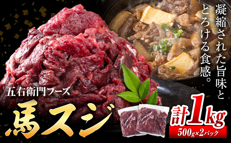 
            馬肉 馬スジ 500g × 2パック 1kg 五右衛門フーズ 《60日以内に出荷予定(土日祝除く)》 熊本県 球磨郡 山江村 馬肉 肉 国産 スジ カレー 煮込み おでん おかず 送料無料
          