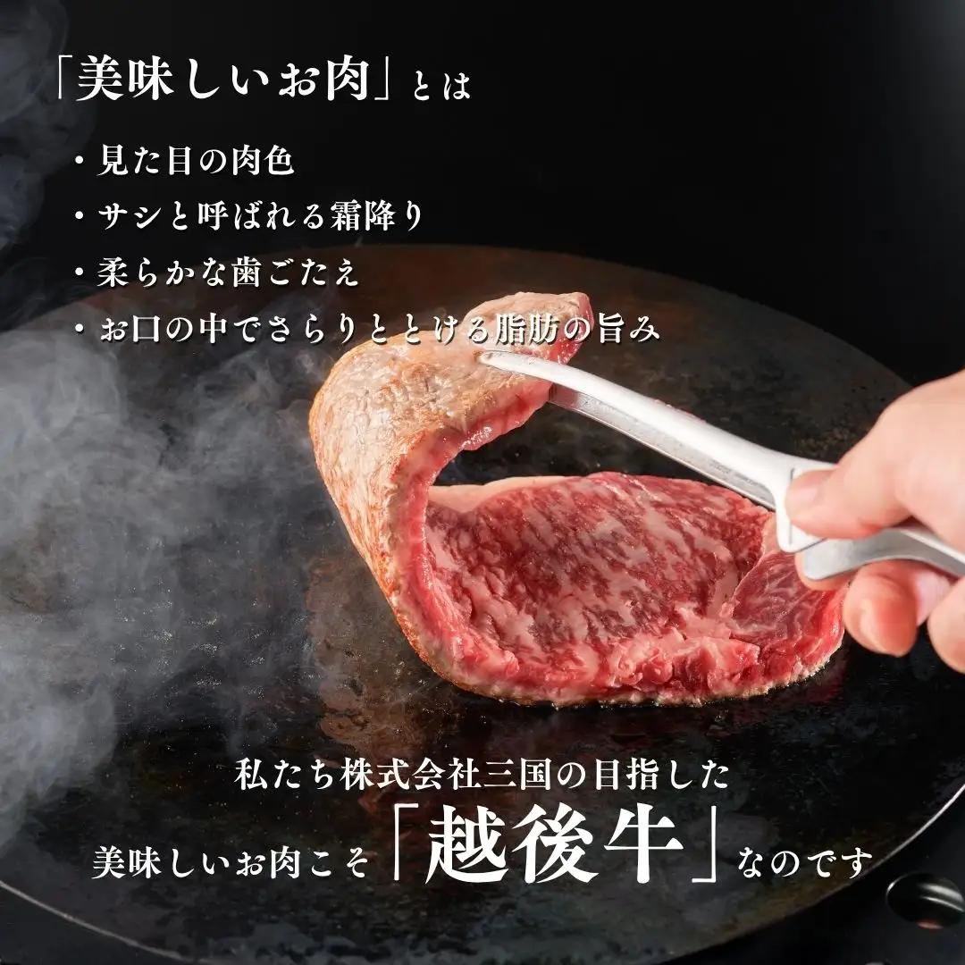 越後牛 ロースステーキ 400g(200グラム×2) 冷凍 三国 | 小千谷 新潟県産 ロースステーキ 越後牛