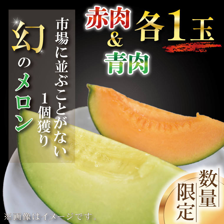 
                  【2026年6月下旬より順次発送】【数量限定】1個獲り★幻のメロン　青肉＆赤肉(各1玉)｜メロン 赤肉 青肉 果物 フルーツ くだもの 旬 幻のメロン セット 数量限定 先行予約 茨城県 行方市(AY-3)
                