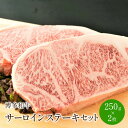 【ふるさと納税】博多和牛サーロインステーキセット　500g[250g×2枚]【014-0028】