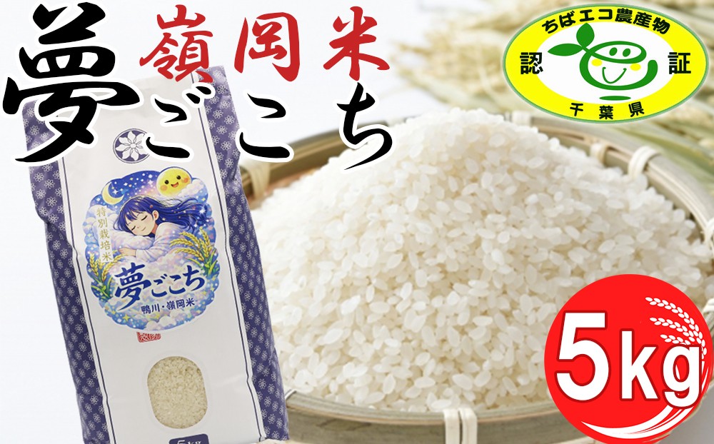 
                  【令和8年産】嶺南ファームの嶺岡米「夢ごこち」 5kg[0018-0029]
                