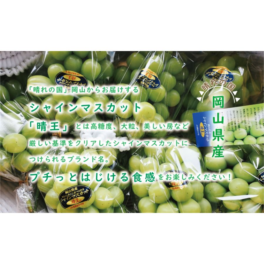 ＜晴王＞シャインマスカット 晴王 特大サイズ 2房（2kg箱） 岡山県産【特別選定】