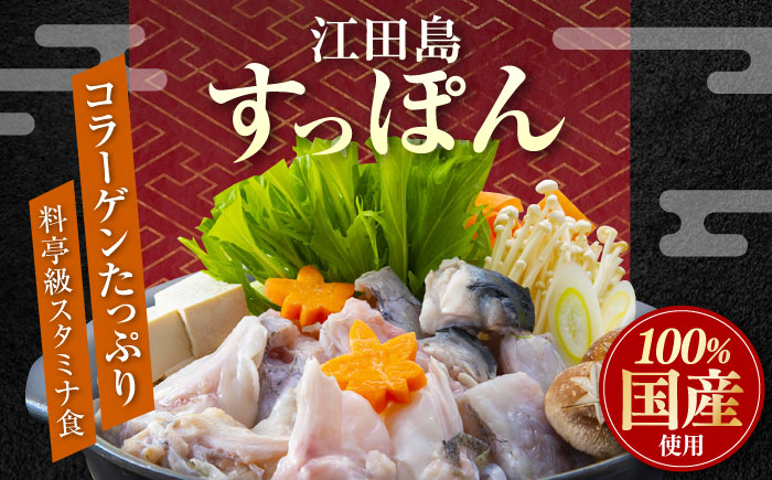小分けが嬉しい！江田島すっぽん 切り身200g×2セット 江田島市/平井興産株式会社[XAC018] お肉 魚介