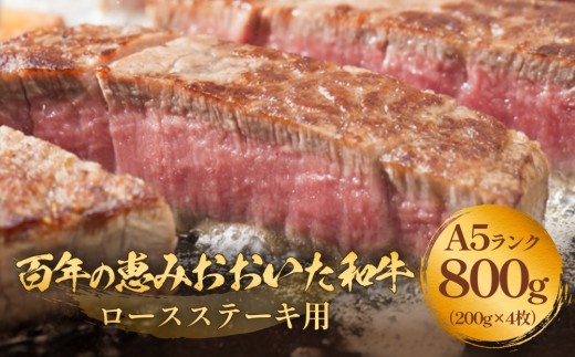 「百年の恵み おおいた和牛 」A5 ロースステーキ用 200g×４枚 おおいた和牛 黒毛和牛 大分産 ロースステーキ 焼肉 霜降り肉 高級牛肉 和牛ブランド ステーキ用 牛肉ブランド 赤身