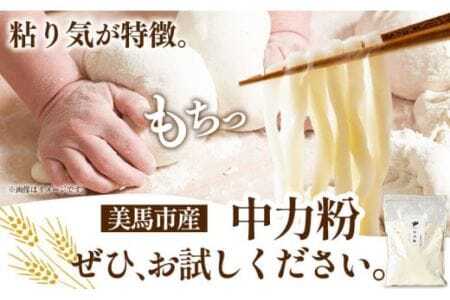 中力粉 3kg 麺 調味料