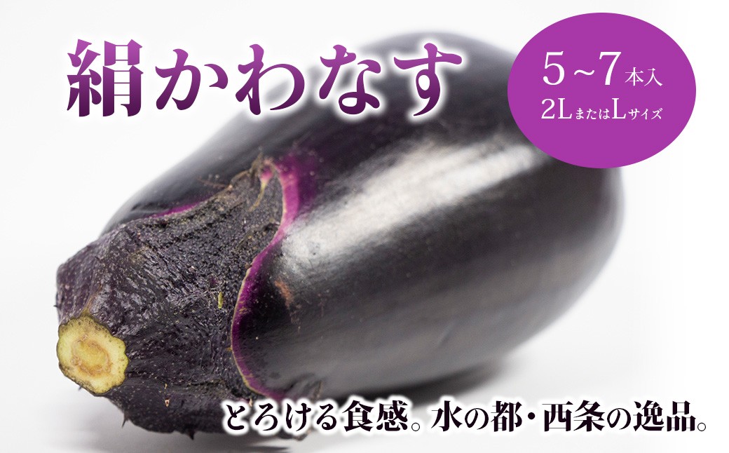 
                  【先行予約】 絹かわなす （JAえひめ未来） 5～7本（2LサイズまたはLサイズ） 【2026年6月中旬～7月発送】 なす ナス 茄子 野菜 やさい 夏野菜 伝統野菜 愛媛県 西条市産
                