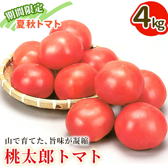 【ふるさと納税】7月下旬発送 桃太郎トマト 4kg A等級 Lサイズ 桃太郎 トマト 美濃白川 夏秋トマト