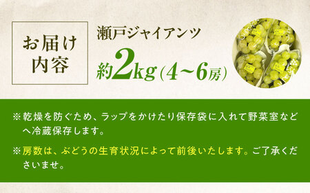 【先行予約】瀬戸ジャイアンツ 約2kg1箱（4房～6房）＜2026年8月下旬から発送＞/ 瀬戸ジャイアンツ ぶどう ブドウ 葡萄 マスカット ますかっと 愛媛県 愛媛 内子町 フルーツ 果物 送料無料