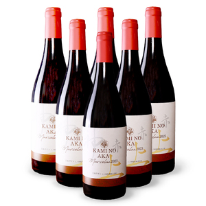 北海道 上ノ国ワイナリーの赤ワイン「上の赤マルセラン2023」　750ml×6本