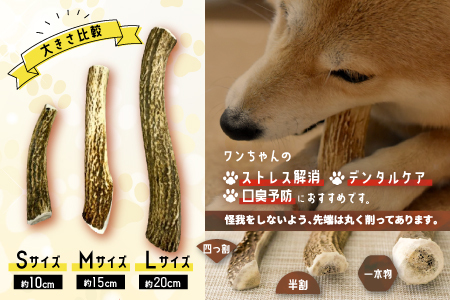 犬用「鹿の角(四つ割り)」Ｍサイズ×1本[53-1354]