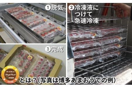 急速冷凍！福岡県特産品プレミアムいちじく「とよみつひめ」 冷凍いちじく 大容量2kg【JAほたるの里】_HA0279