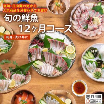 ふるさと納税 門川町 【毎月定期便】旬の鮮魚12ヶ月コース(門川町)全12回