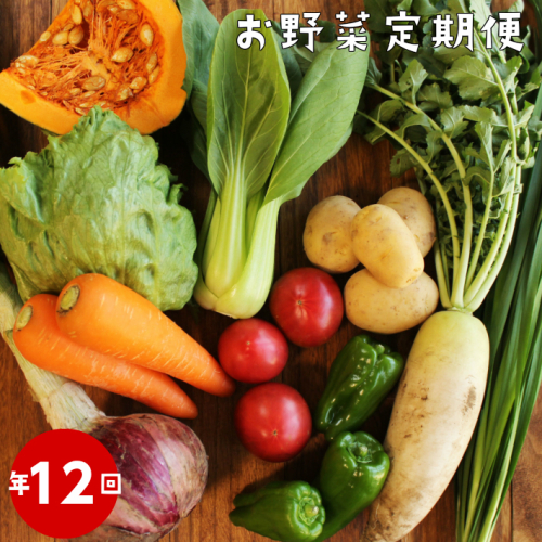 【年12回】高知から直送！旬の季節のお野菜定期便（7～9品）