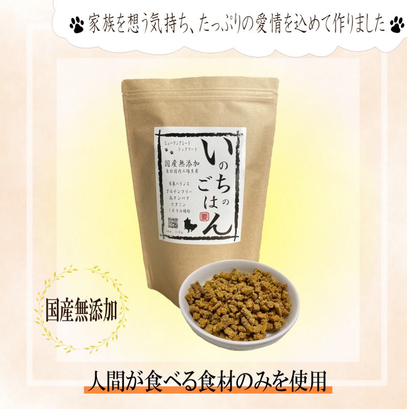 099Z174 【定期便】国産 無添加 ドッグフード「いのちのごはん」500g×全6回【毎月配送コース】