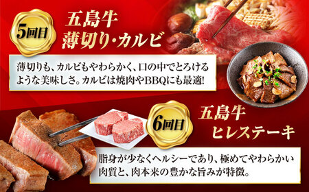 【6回定期便】大満足！五島牛 ファミリー特撰コース 五島市/五島市ふるさと納税[PZX029]