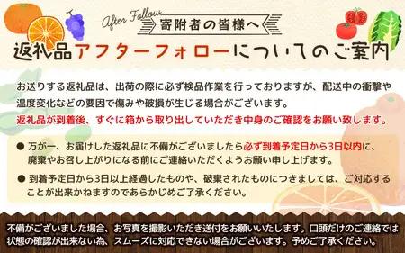 訳あり レモン マイヤーレモン 檸檬 三重県 家庭用 【先行予約】橋本農園の 訳あり マイヤーレモン 3kg【2026年12月中旬から2027年1月中旬までに順次発送】【mht008A】