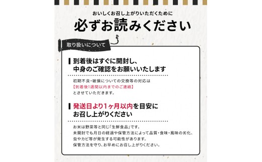 【定期便】無洗米はえぬき5kg×6ヶ月連続中旬発送 計30kg（2月～7月）
