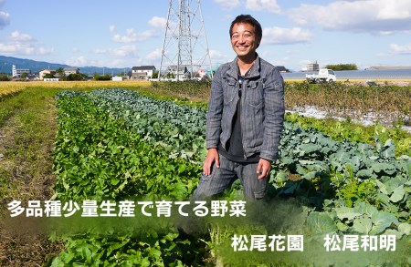 CC004_【6回定期便】かずちゃんの朝採り新鮮野菜セット隔月6回お届け みやき町産