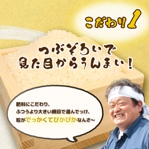コシヒカリ 5kg 令和7年産 コシヒカリ 11月 特別栽培米 新潟 プレミアム