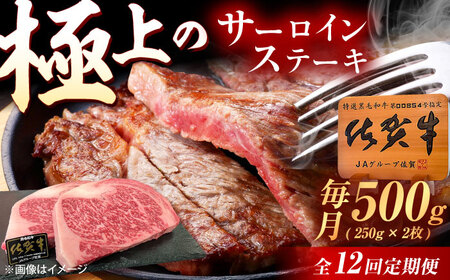 【12回定期便】佐賀牛 サーロインステーキ 500g（250g×2枚） /MKミート武雄[UEM023]