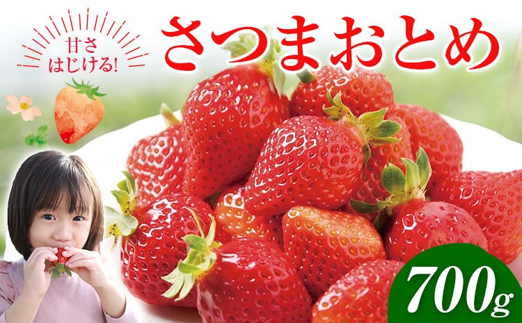 
                  苺 いちご さつまおとめ 700g 北さつま農協《1月上旬-2月末頃出荷》鹿児島県 さつま町 送料無料 いちご 苺 イチゴ フルーツ 果物 先行予約 産地直送
                