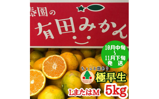 
                  ちょっと 傷あり 極早生 有田 みかん L または M サイズ 5kg 南泰園 和歌山 有田みかん
                