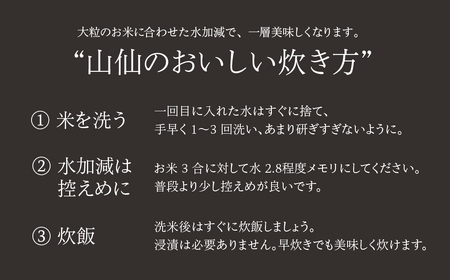 即納【令和7年産米】 山仙 (いのちの壱) 2kg×2袋【51-28】