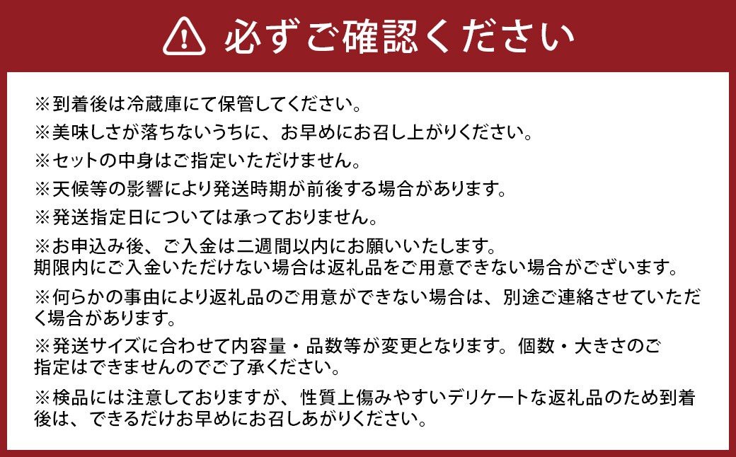 その時期の一番美味しいをお届け！ 竹田育ちの 「野菜詰め合わせセット」 B