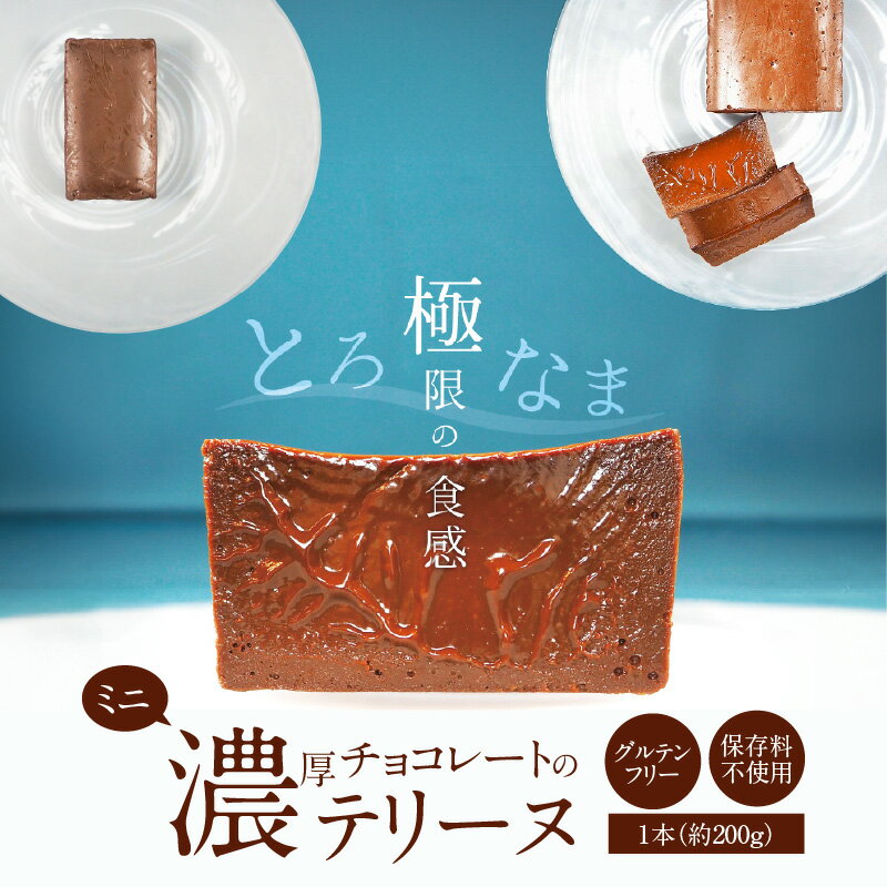 【ふるさと納税】ミニサイズ 濃厚 チョコレート テリーヌ 200g グルテンフリー 保存料不使用 手づくり 甘すぎない なめらか ショコラ スイーツ チョコレート デザート 冷凍 愛知県 碧南市 お取り寄せ お取り寄せスイーツ 送料無料
