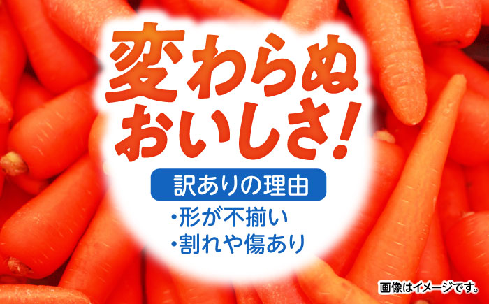 【訳あり】 【甘みと栄養たっぷり！】 真っ赤な人参 「紅天神」 10kg / にんじん ニンジン 人参 やさい 野菜 訳あり 訳アリ わけあり ワケアリ / 諫早市 / 滝商店株式会社 [AHCU00