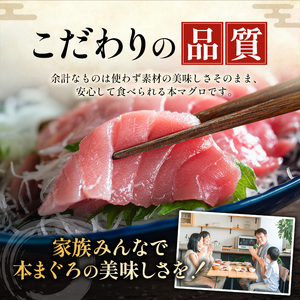 まぐろ三昧セット〈本鮪の中トロ200g×2・ネギトロ100g×4袋〉〈おすすめ返礼品〉【C47】