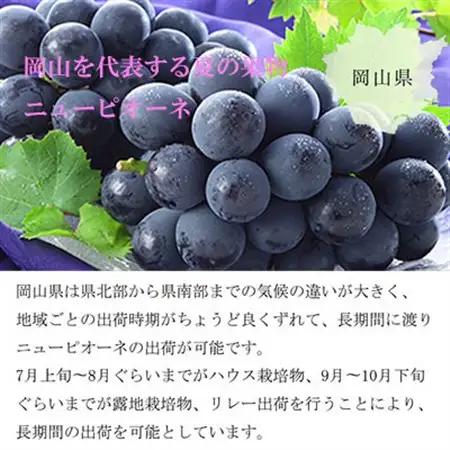 【2026年6月下旬より順次発送】岡山県産 ニューピオーネ 700g×1房【配送不可地域：離島・北海道・沖縄県】【1308139】