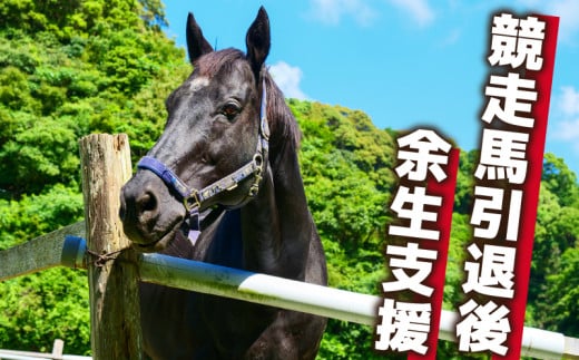 競走馬 引退後はどこへ？ 黒潮友馬会応援 【100万円コース】