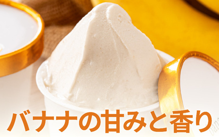 【先行予約】はんすうカップアイス バラエティパック B【2025年12月上旬より順次発送予定】【アイス ジェラート ひんやりスイーツ スイーツ デザート お菓子 洋菓子 詰め合わせ 食べ比べ ご褒美ア