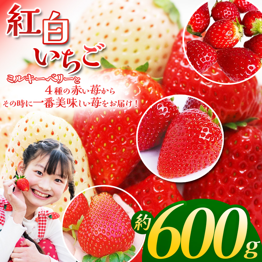 紅白いちご300g×2