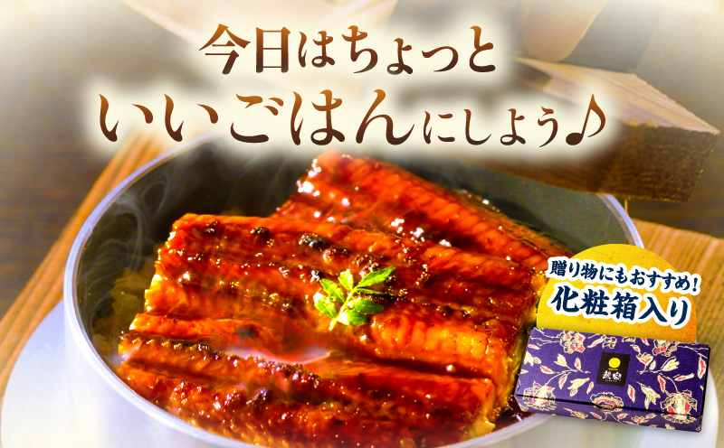 九州産 うなぎ蒲焼 2尾 (計320g＆さんしょう、たれ付き) 国産 九州産 惣菜 小分け ギフト セット 人気 おすすめ 鰻 冬うなぎ 鰻楽