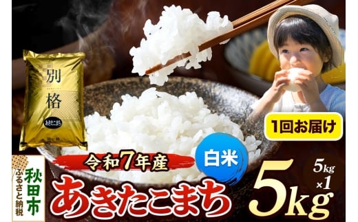 《令和7年産》 米 あきたこまち 5kg 【白米】 秋田県産