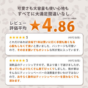 【ふるさと納税】 ティッシュ ティッシュペーパー「 大容量 ANIMAL BOXティッシュ 定期便 2パック (ケース10個入り) 全3回(毎月)」[ 動物柄 アニマル柄 常備品 生活用品 まとめ買い